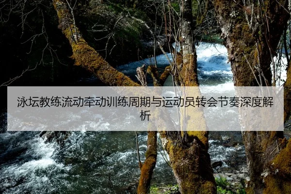 泳坛教练流动牵动训练周期与运动员转会节奏深度解析